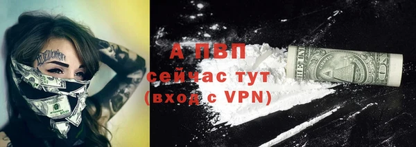 спайс Ладушкин
