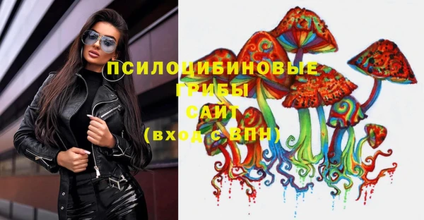 спайс Ладушкин