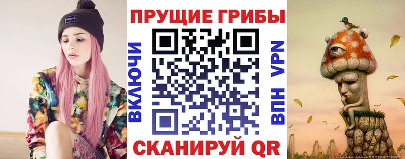 Галлюциногенные грибы Cubensis  shop телеграм  Михайловка 